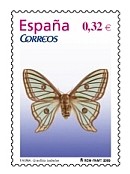 Graellsia isabellae © Teresa Farino